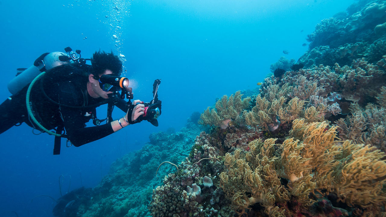 OrcaTorch 水下攝影手電筒