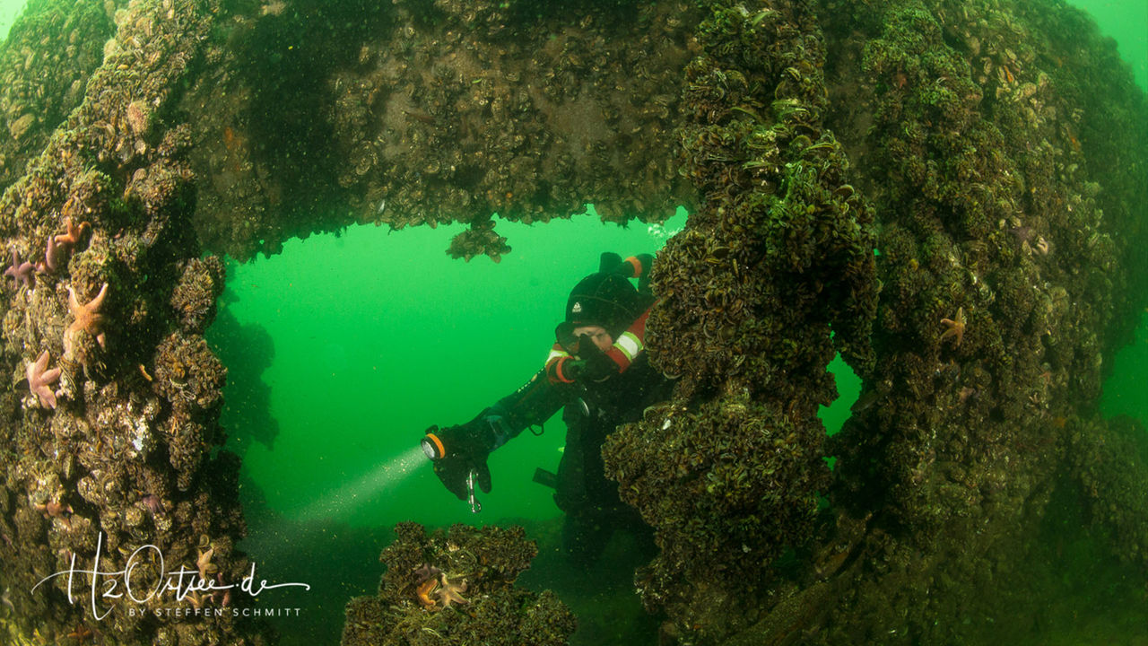 洞穴潛（qián）水（shuǐ）照明，水下探險燈，分體式（shì）潛水電筒 OrcaTorch D630