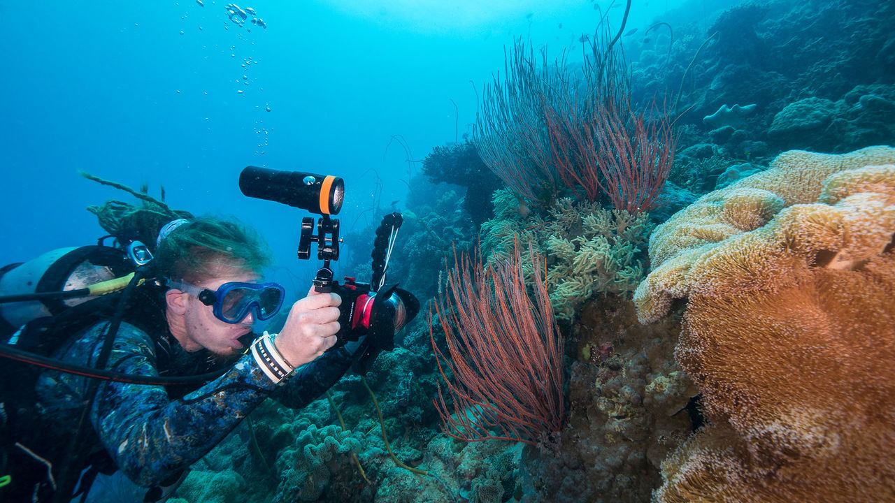 OrcaTorch 水下攝影手電筒