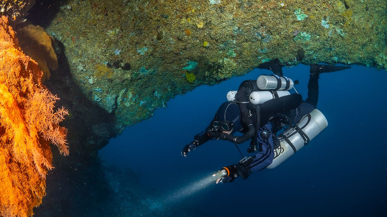 OrcaTorch草莓视频官网 D630技術潛水照明