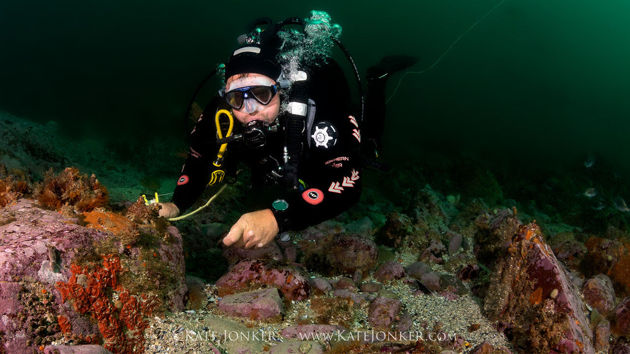 OrcaTorch 水（shuǐ）下攝影手電筒