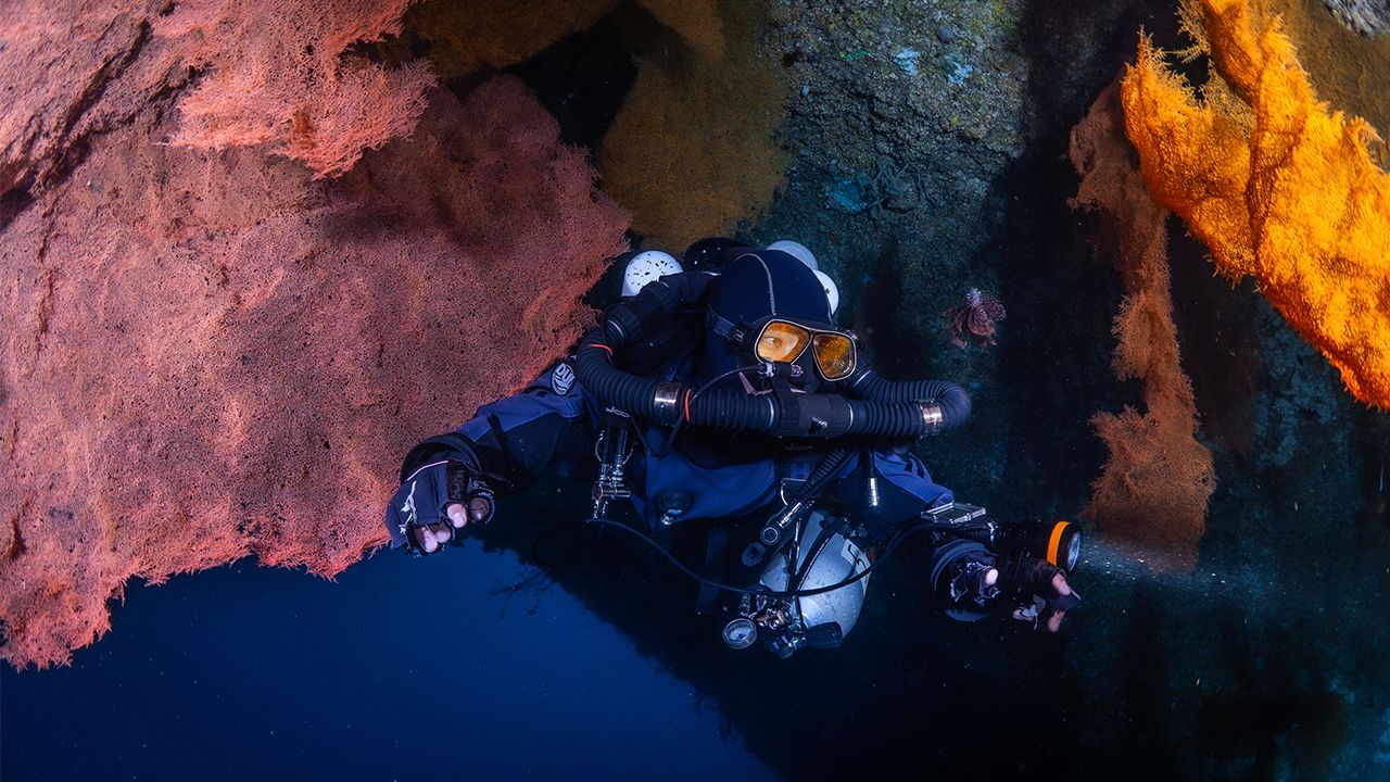 OrcaTorch草莓视频官网 D630技術潛水照明