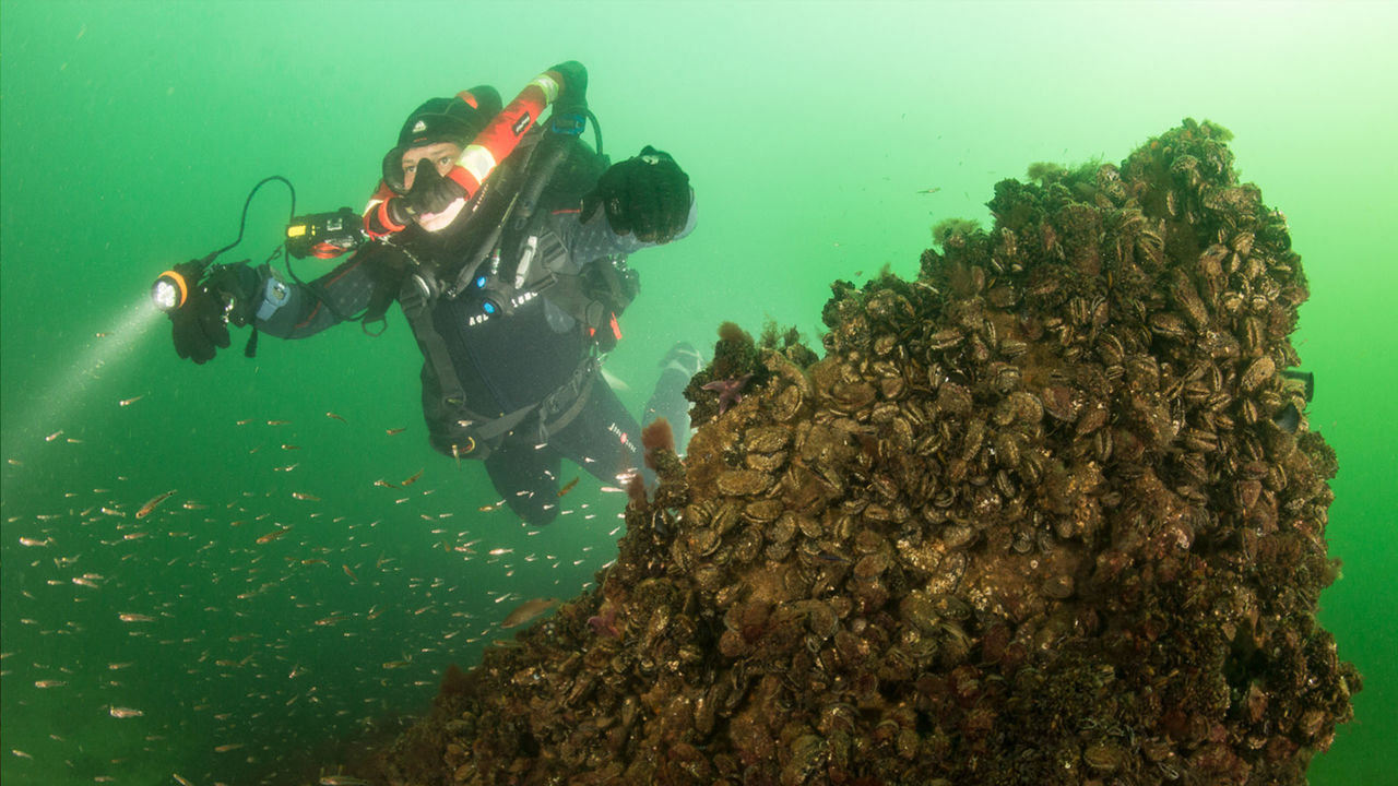 洞穴潛水照明，水下探險燈，分（fèn）體式潛水電筒 OrcaTorch D630