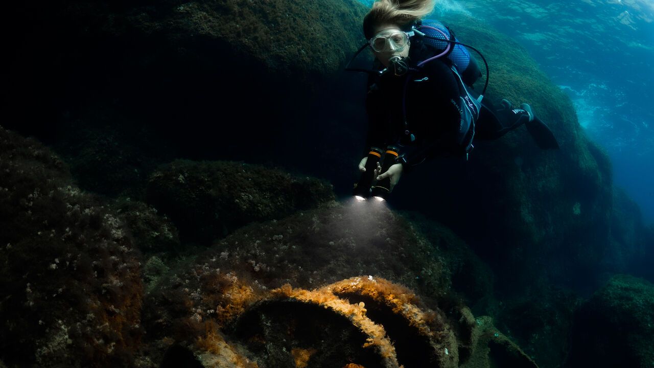 OrcaTorch草莓视频官网 D950V