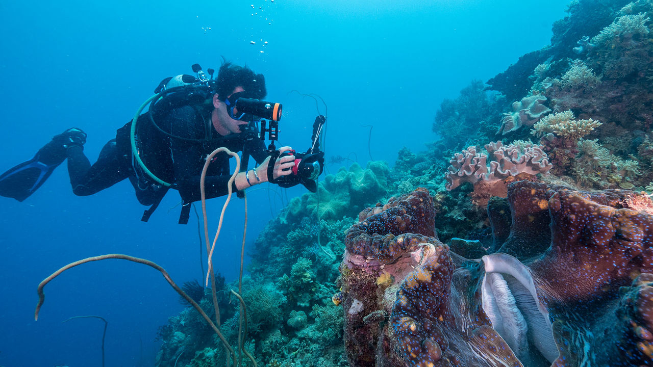 OrcaTorch 水下攝影手電筒