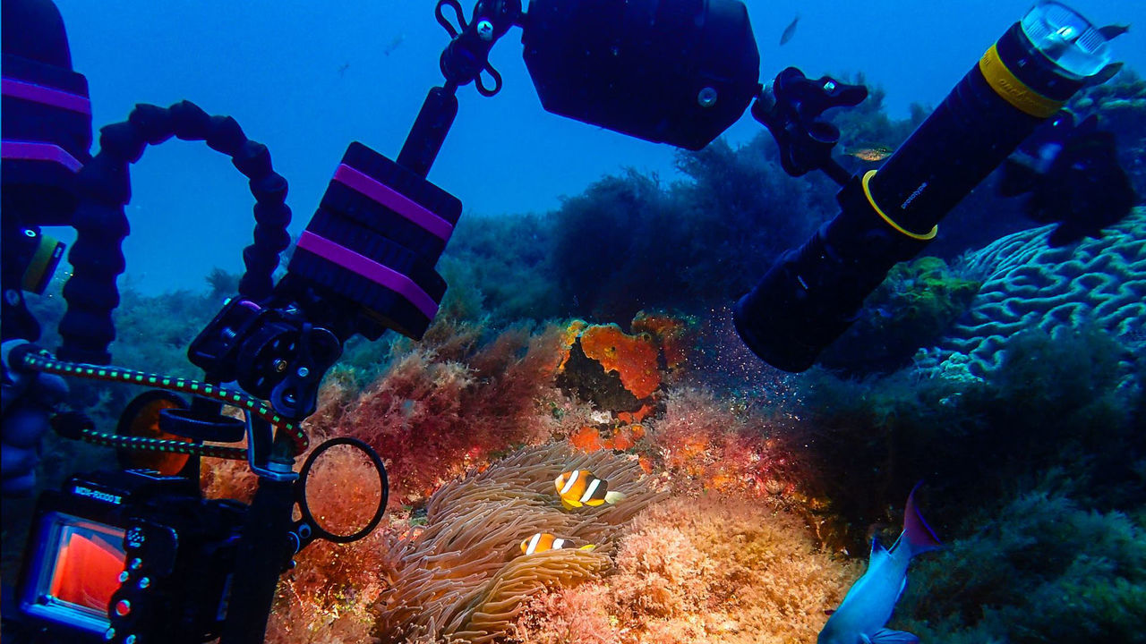 OrcaTorch 水下（xià）攝影手電筒