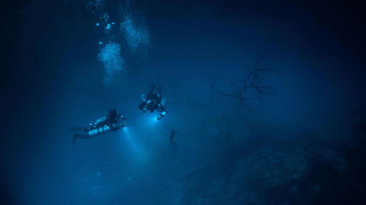 OrcaTorch草莓视频官网 SD03潛水信號（hào）燈