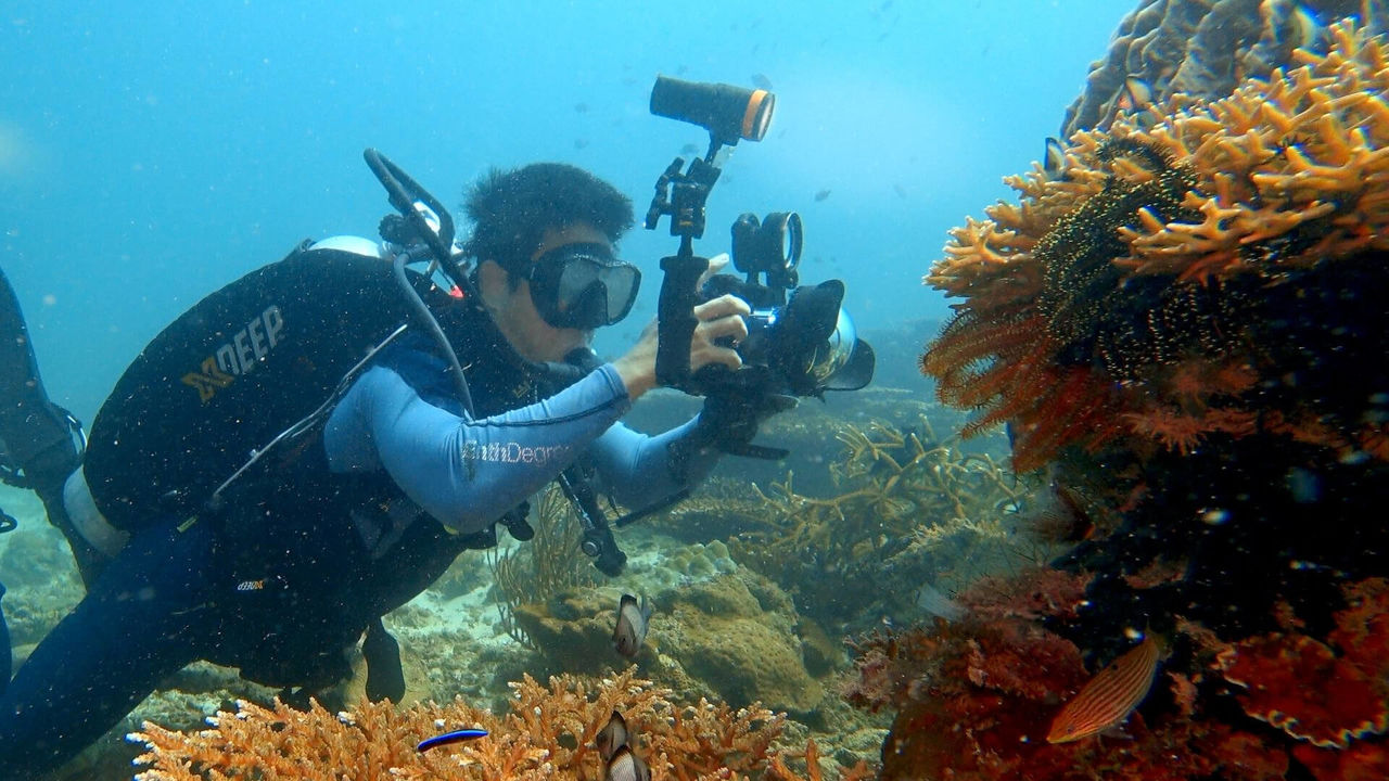 OrcaTorch 水下攝影手電筒