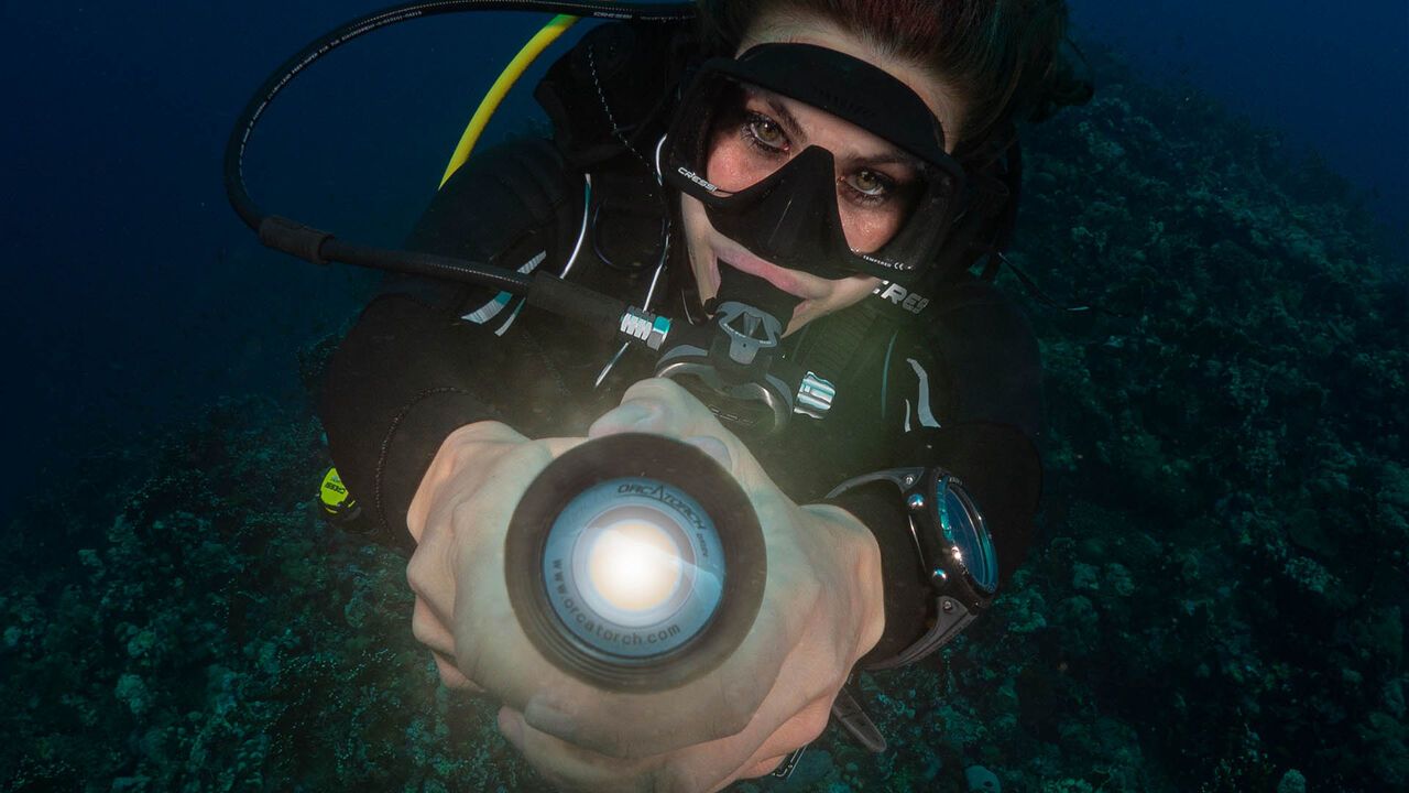 OrcaTorch草莓视频官网 D950V