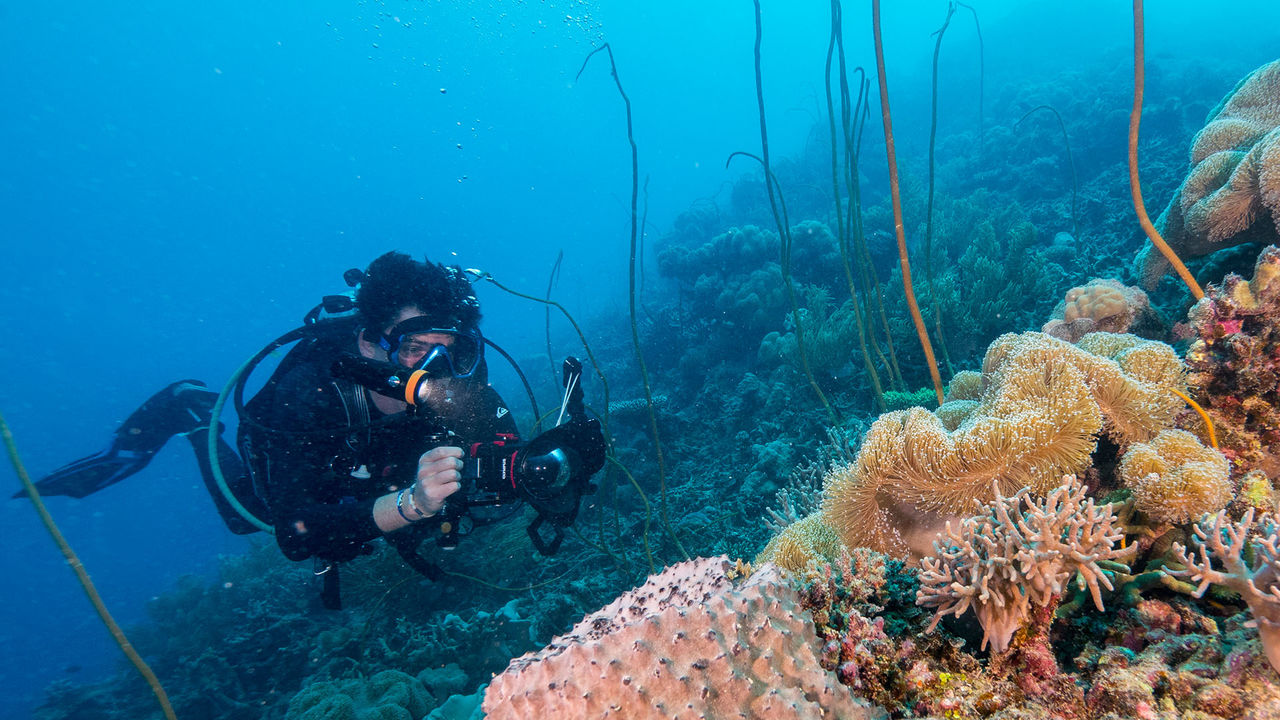 OrcaTorch 水下攝影手電筒