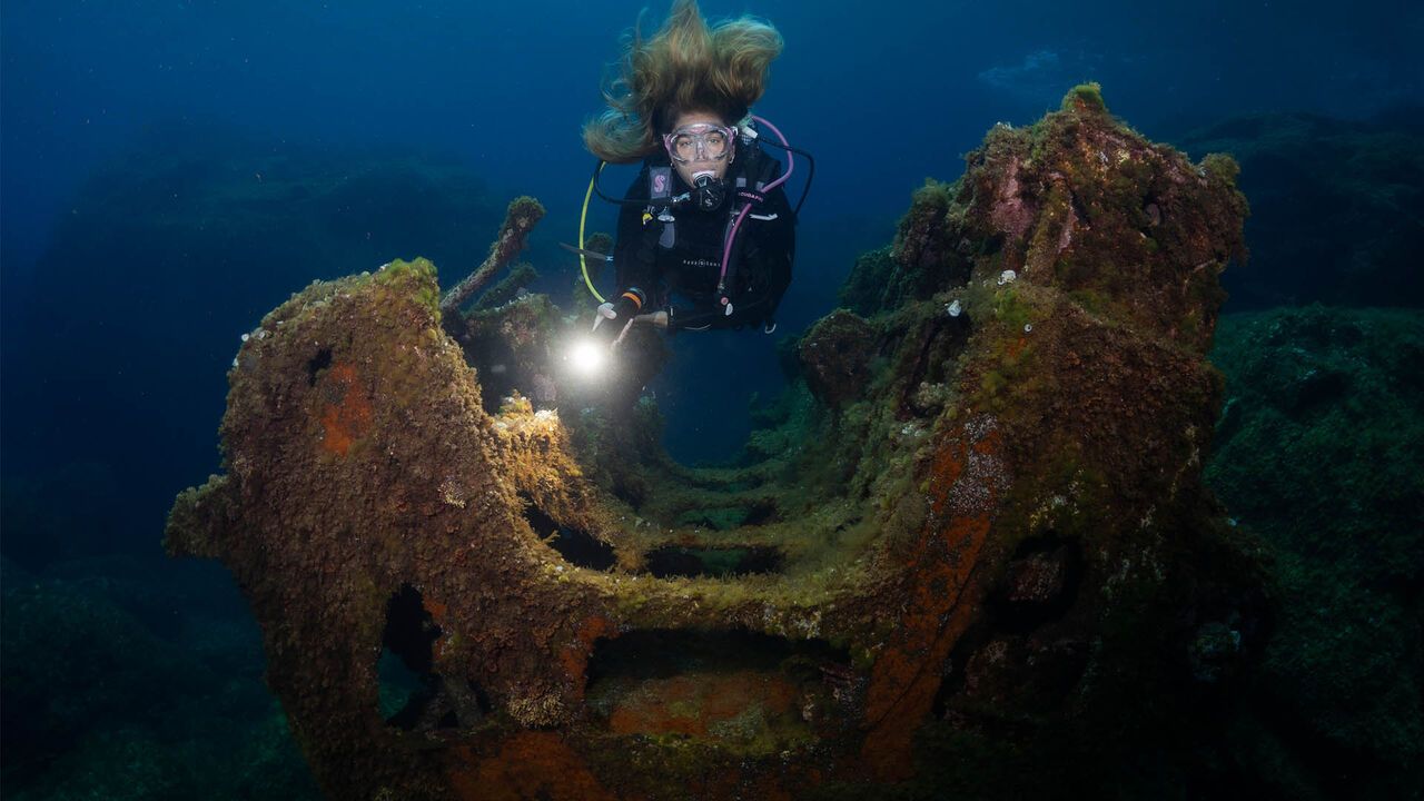 OrcaTorch虎（hǔ）鯨 D950V