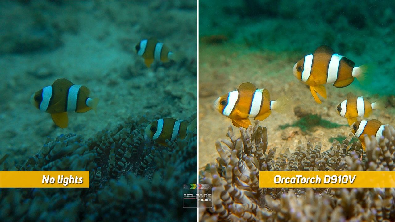 OrcaTorch 水下（xià）攝（shè）影手電筒