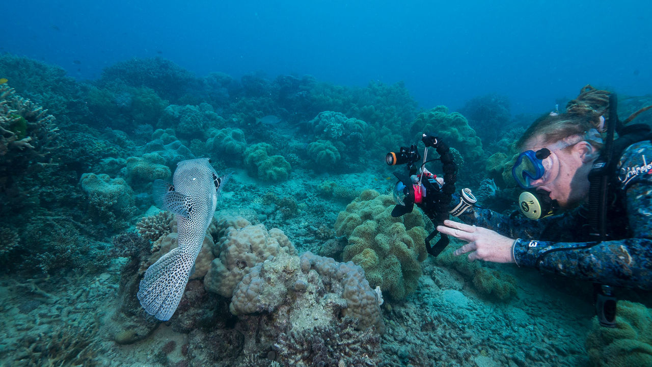 OrcaTorch 水下（xià）攝（shè）影手電筒（tǒng）