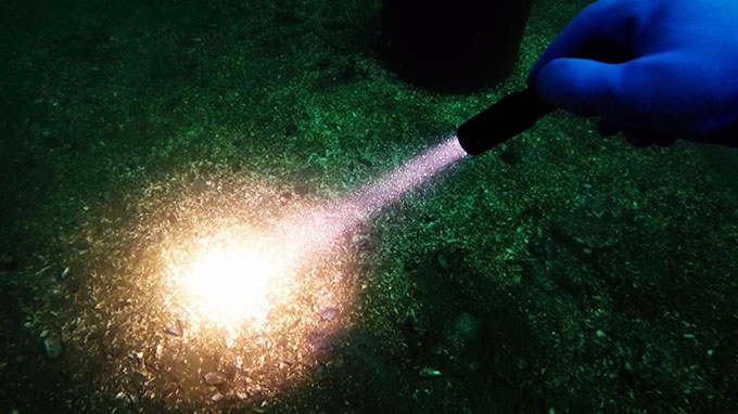 LED潛水手電筒，OrcaTorch草莓视频官网， D520潛水手電筒