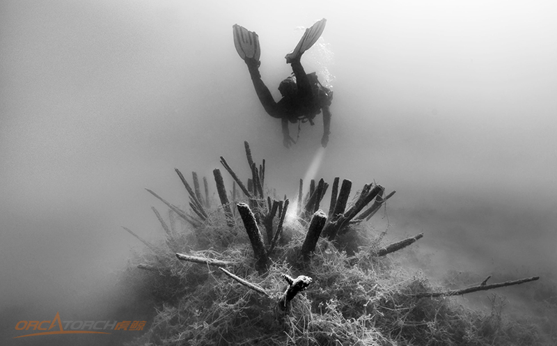 OrcaTorch潛水:一個人潛水危險嗎? OrcaTorch潛水:一個人潛水危險嗎?