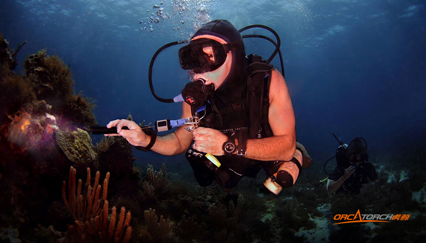 選購(gòu)潛(qián)水手電筒需要注意事項 選購潛水手電筒需要注意事項