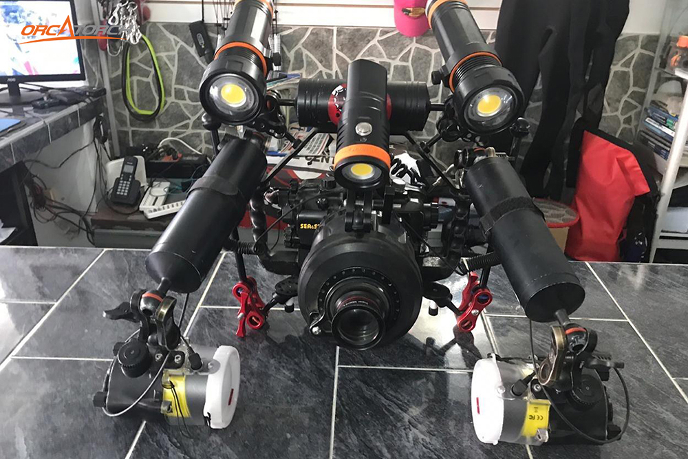 提升戶外潛水的體驗感｜OrcaTorch潛水（shuǐ）