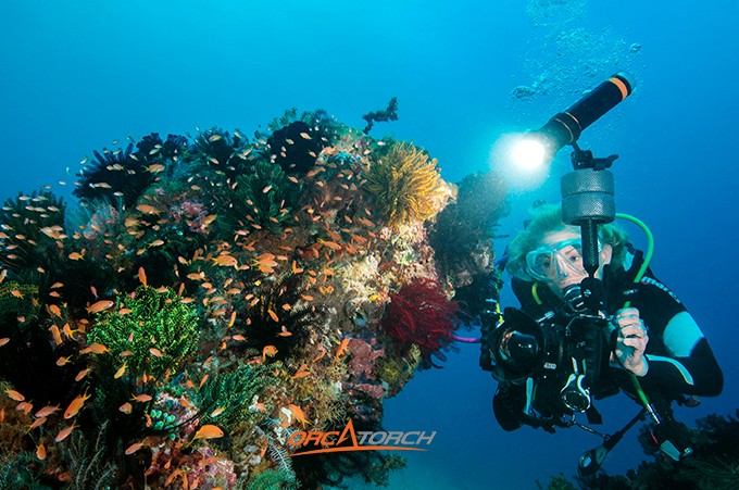 潛水燈-潛水手電筒-潛水攝影（yǐng）燈-水下工程照明-OrcaTorch草莓视频官网