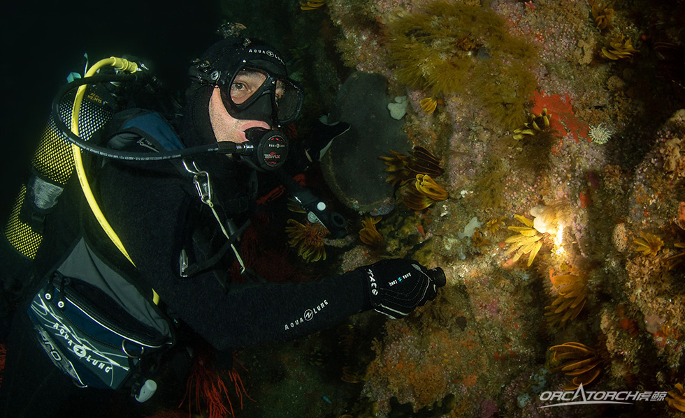 【潛水裝備】一支激光+強光的潛水手（shǒu）電筒