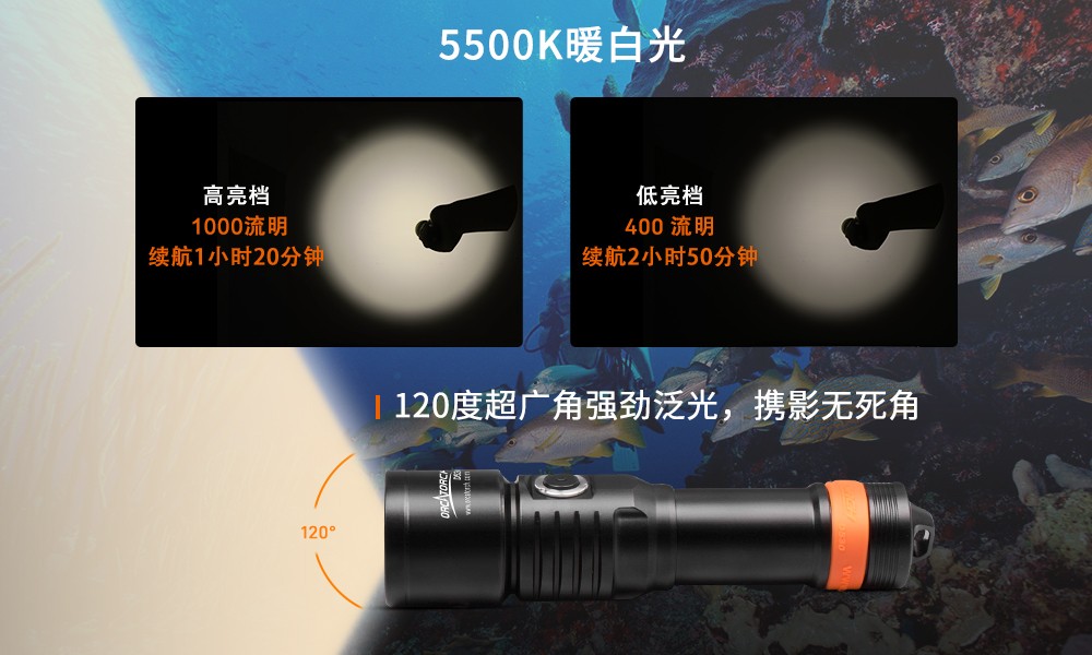 OrcaTorch草莓视频官网 D530V多色光