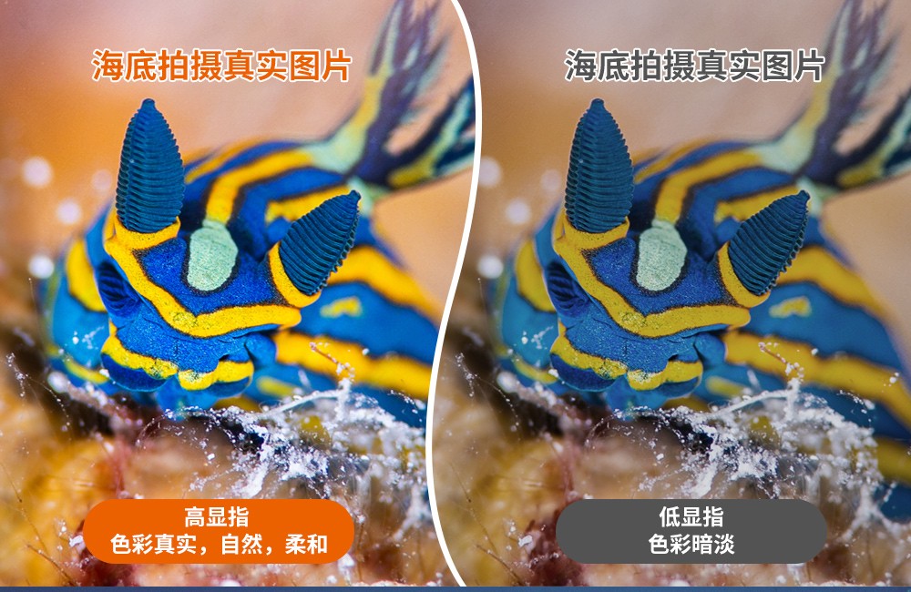 D950V 2.0升級啦!10000流(liú)明潛水手(shǒu)電筒_1萬流明(míng)水下(xià)攝影手電筒_水下大功率手電筒_多用途(tú)水下手電_OrcaTorch草莓视频官网(jīng)