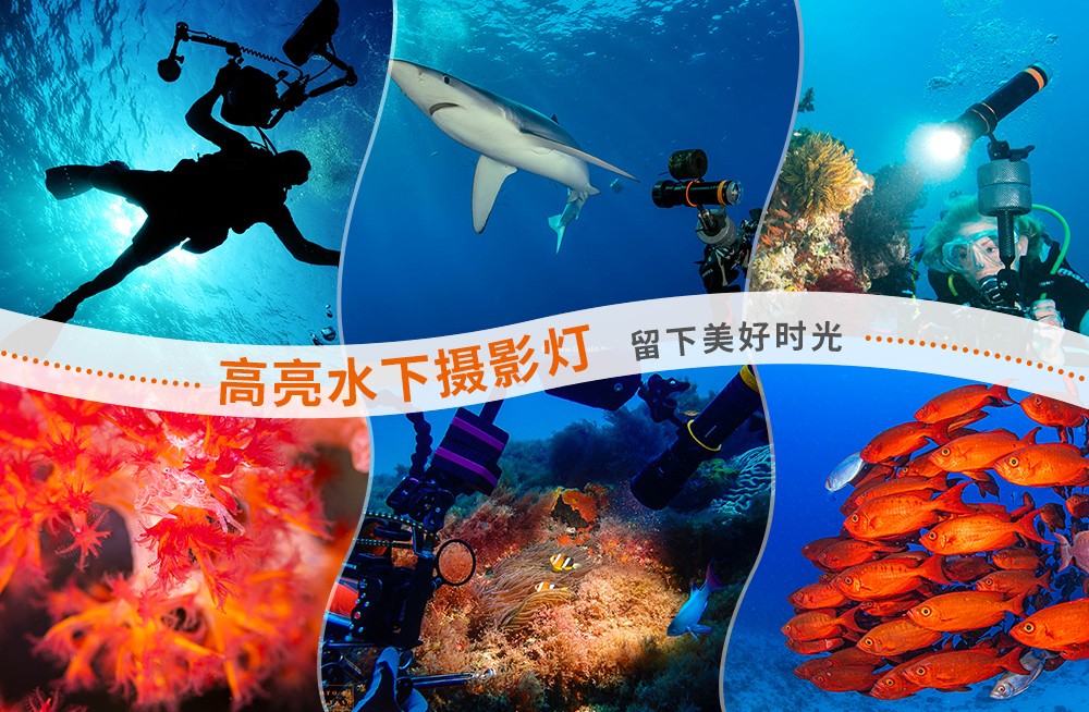 D950V 2.0升級啦!10000流(liú)明潛水手電筒_1萬流明水(shuǐ)下攝影手電筒(tǒng)_水下大功率手電筒_多用途水下手電_OrcaTorch草莓视频官网