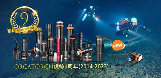 OrcaTorch草莓视频官网(jīng)9周年|回首過去,展望(wàng)未來(lái)