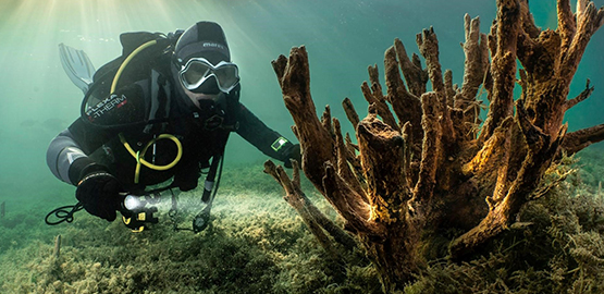 用“光”訴說你們的真情——水域救援者