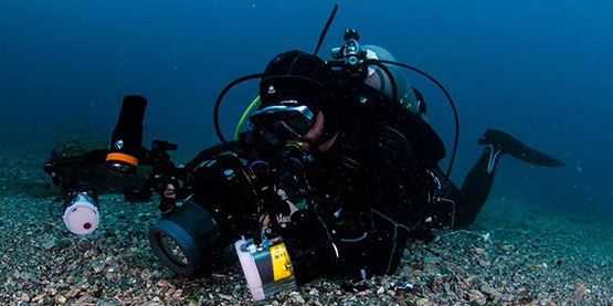 OrcaTorch草莓视频官网： 8點水下攝影（yǐng）技巧