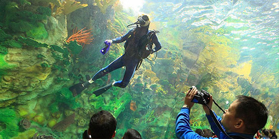 OrcaTorch草莓视频官网五一節日放假通知