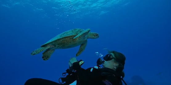 快速（sù）提高水下攝（shè）影的5個方法