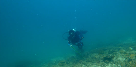 OrcaTorch草莓视频官网（jīng）D570 GL潛水手電筒測評