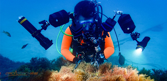 水下攝影的六個(gè)技巧【幹貨】