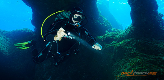 OrcaTorch草莓视频官网 D710潛水手電（diàn）筒