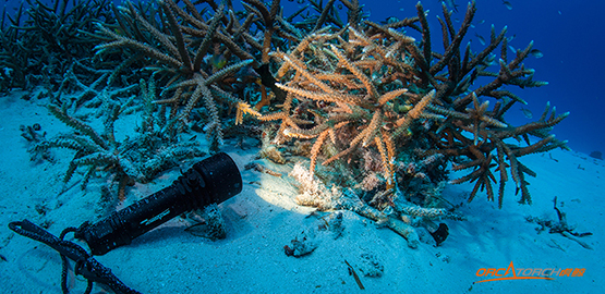 選購潛水手電筒需要注意事項
