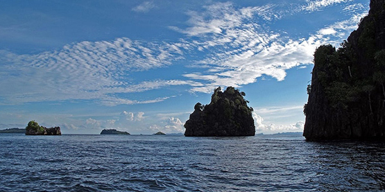 十件潛水員們（men）可以為海洋做的事