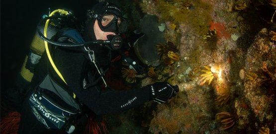 如何選擇手持式潛水燈？