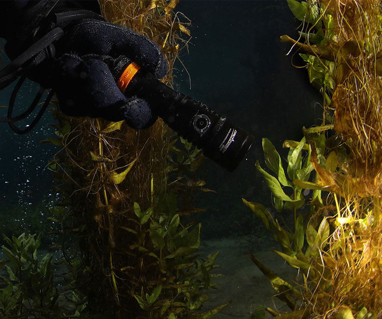 休閑潛水實測圖