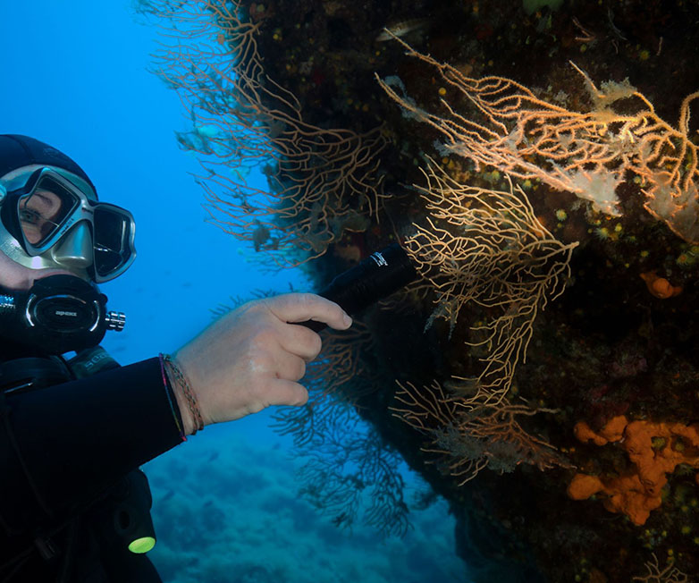OrcaTorch虎（hǔ）鯨 D580機械開關電筒，休閑潛水燈，潛水手電筒，水下工程照明，潛水裝（zhuāng）備