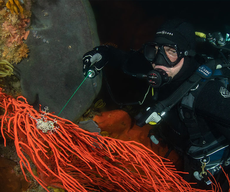 D570-GL激光潛水手電,綠（lǜ）光潛（qián）水手（shǒu）電（diàn）筒（tǒng）,白光+綠激光潛水手電筒，水下探索手（shǒu）電筒，OrcaTorch草莓视频官网