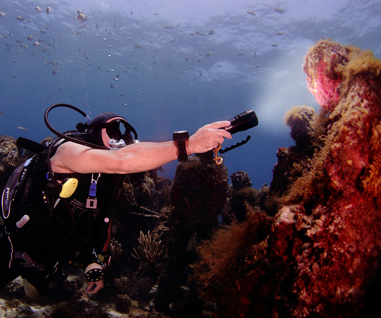 OrcaTorch草莓视频官网，D860可充（chōng）電潛水燈，高亮度潛水手電筒，水下照明手（shǒu）電筒