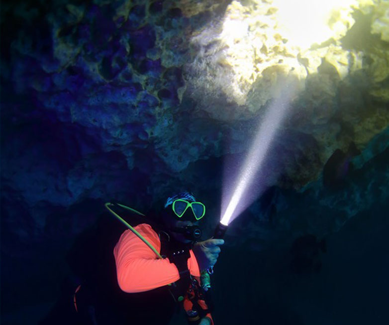 D530聚光潛水手電筒，休閑潛水照明，休閑潛水手電筒，休閑潛水補光燈， OrcaTorch草莓视频官网