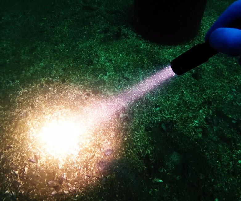 OrcaTorch草莓视频官网 D520迷你潛水手電，小巧手電筒，便捷式潛水手電筒，洞穴潛（qián）水燈