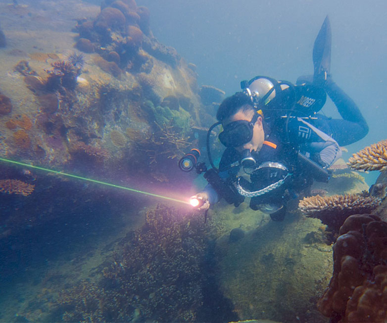 D570-GL激光潛水手電（diàn）,綠光潛水手電筒,白光+綠激（jī）光潛（qián）水手電筒，水下探索手電筒，OrcaTorch草莓视频官网