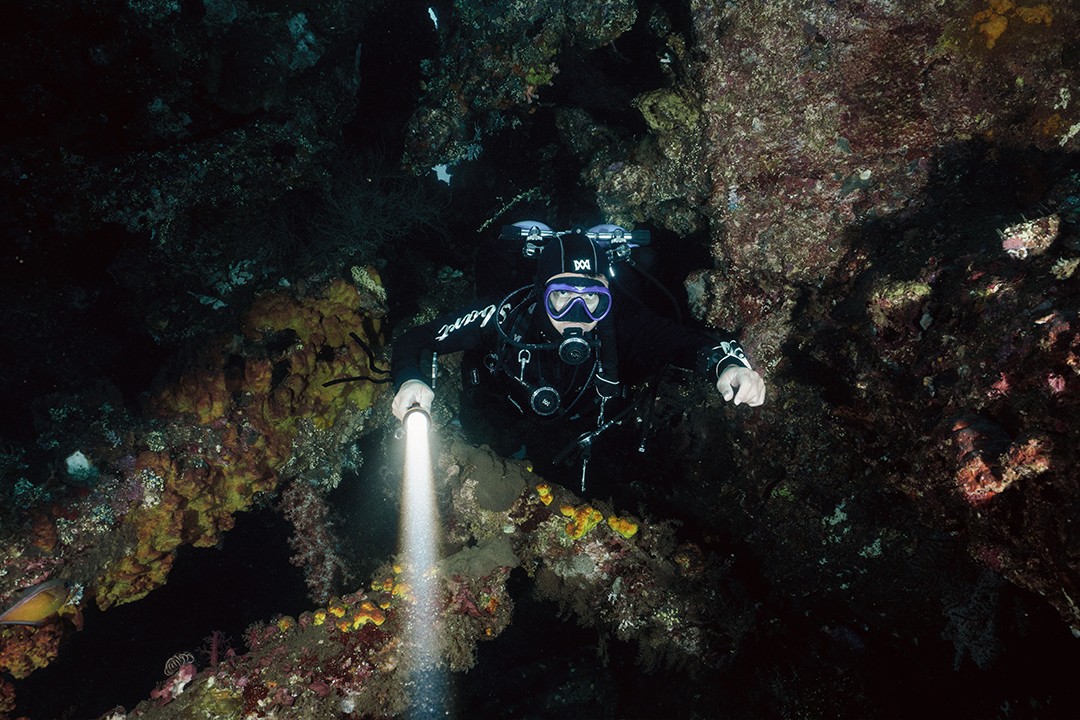 草莓视频官网OracTorch 品牌(pái)大使|黃定國(阿國)