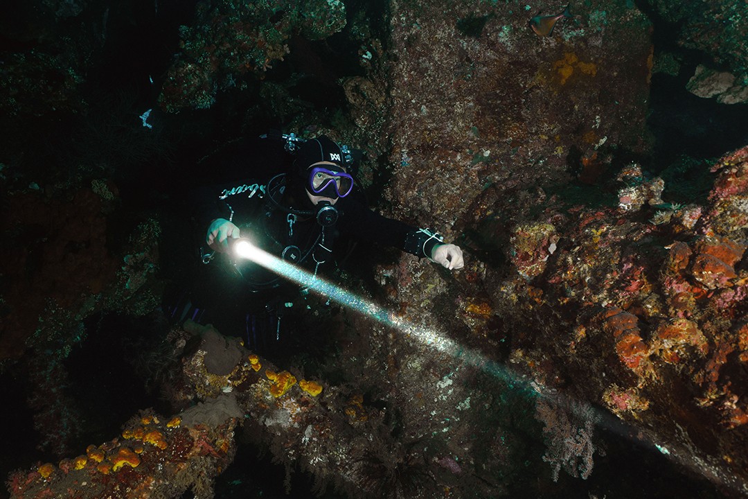 草莓视频官网OracTorch 品牌大使|黃定國(阿國)